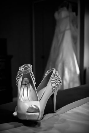 arditvjola-w-2149-edit.jpg